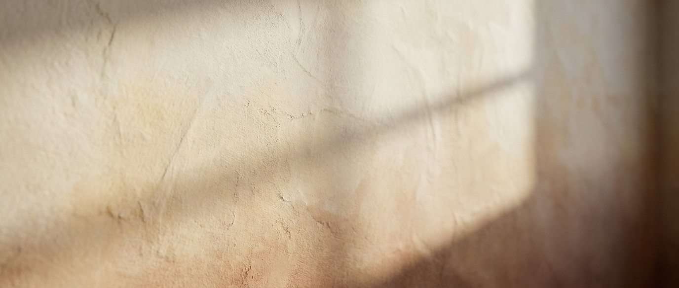 Morning light raking across a bare warm plaster wall